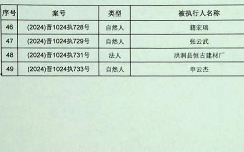 理论国产一级,引领科技创新，铸就民族品牌辉煌